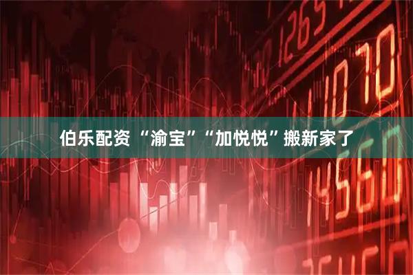 伯乐配资 “渝宝”“加悦悦”搬新家了