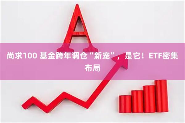 尚求100 基金跨年调仓“新宠”，是它！ETF密集布局