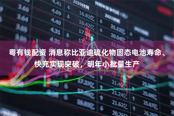 粤有钱配资 消息称比亚迪硫化物固态电池寿命、快充实现突破，明年小批量生产