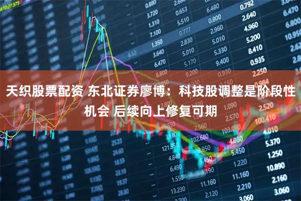 天织股票配资 东北证券廖博：科技股调整是阶段性机会 后续向上修复可期